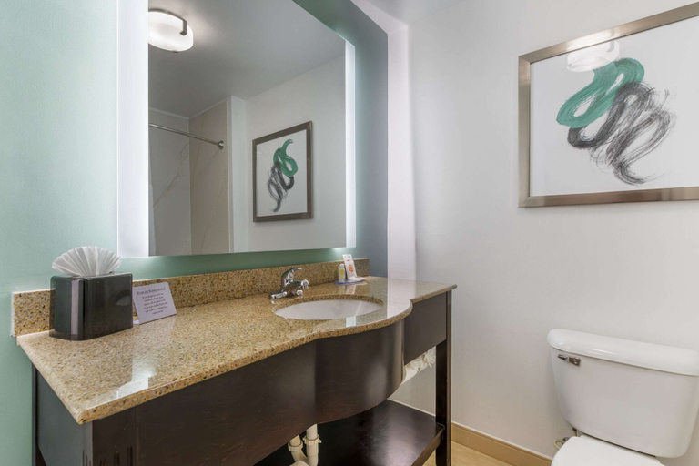 Bathroom 3, Comfort Inn & Suites, Charlotte