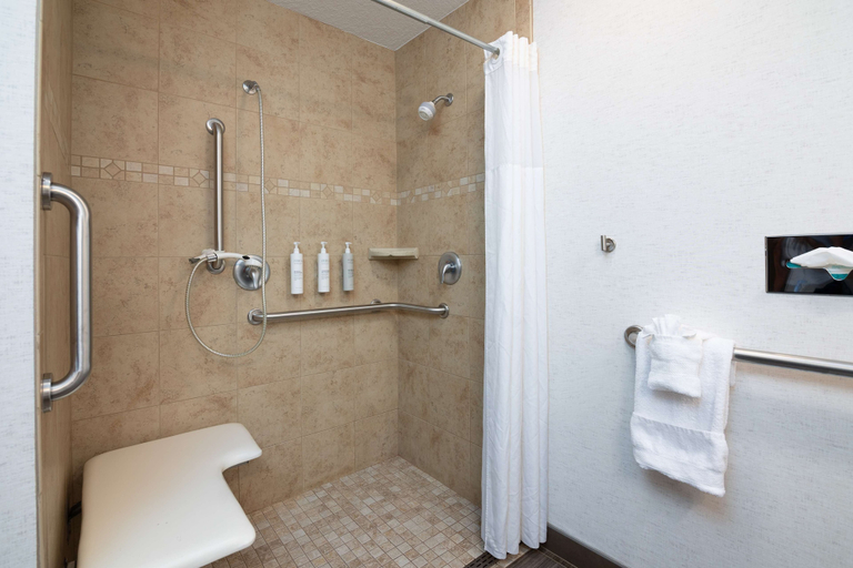 Bathroom 4, Hampton Inn Durango, La Plata