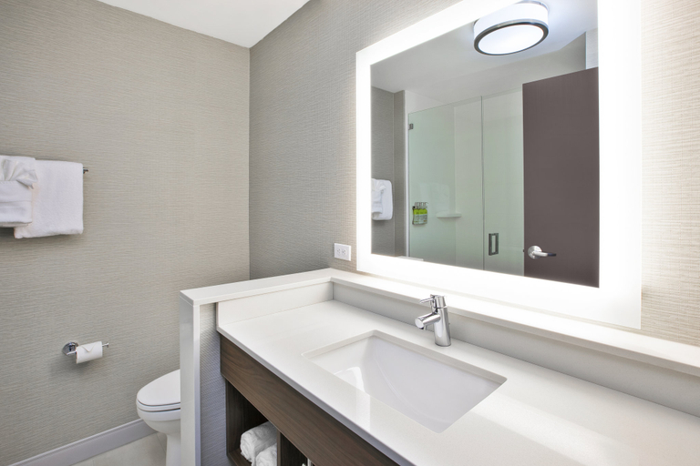 Bathroom 3, Holiday Inn Express & Suites OKEMOS - UNIVERSITY AREA by IHG, Ingham