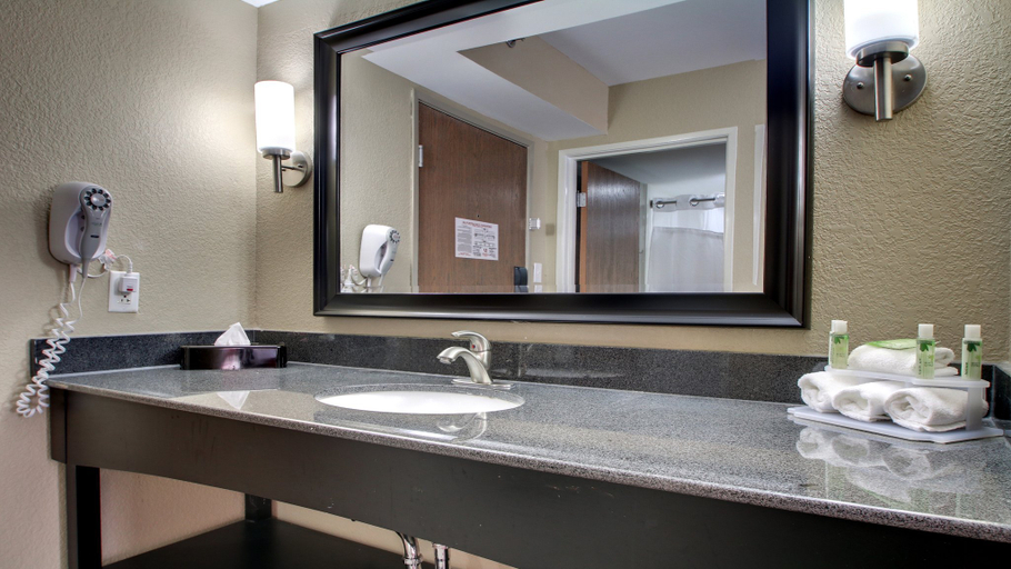 Bathroom 4, Holiday Inn Express & Suites JACKSON DOWNTOWN - COLISEUM by IHG, Hinds