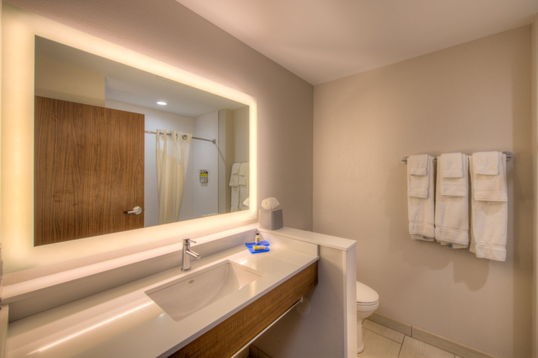 Bathroom 3, Holiday Inn Express & Suites REMINGTON by IHG, Jasper