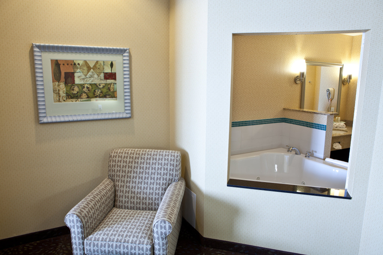 Bathroom 5, Holiday Inn Express & Suites LANSING-DIMONDALE by IHG, Eaton