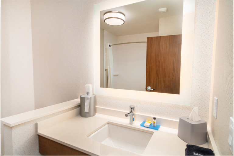 Bathroom 3, Holiday Inn Express & Suites LAS VEGAS - E TROPICANA by IHG, Clark