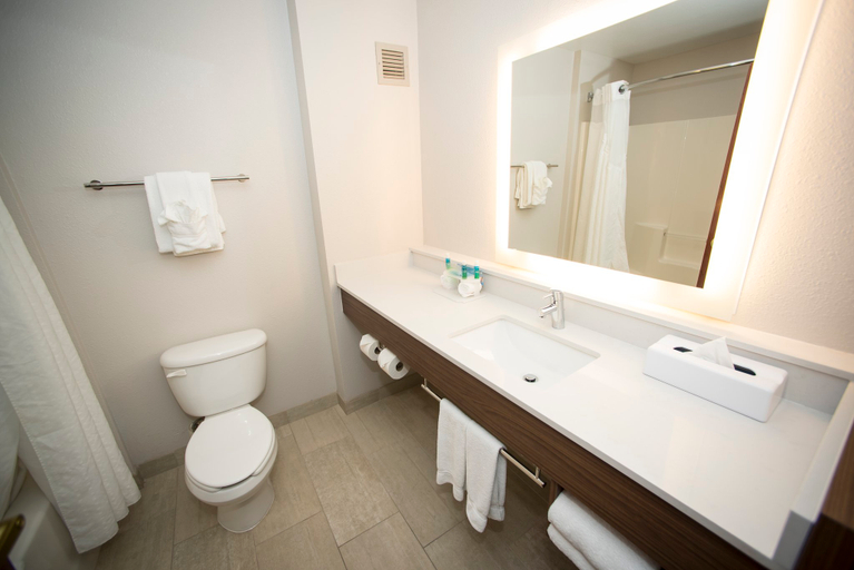 Bathroom 3, Holiday Inn Express & Suites LEXINGTON-DOWNTOWN/UNIVERSITY by IHG, Fayette