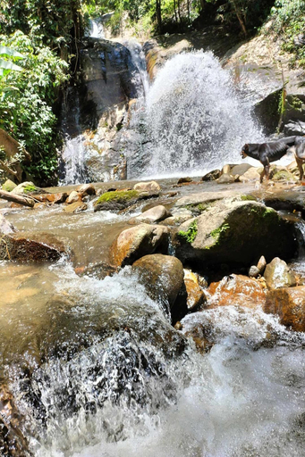 Others 4, Doi PuMuen LAHU Homestay, Mae Ai