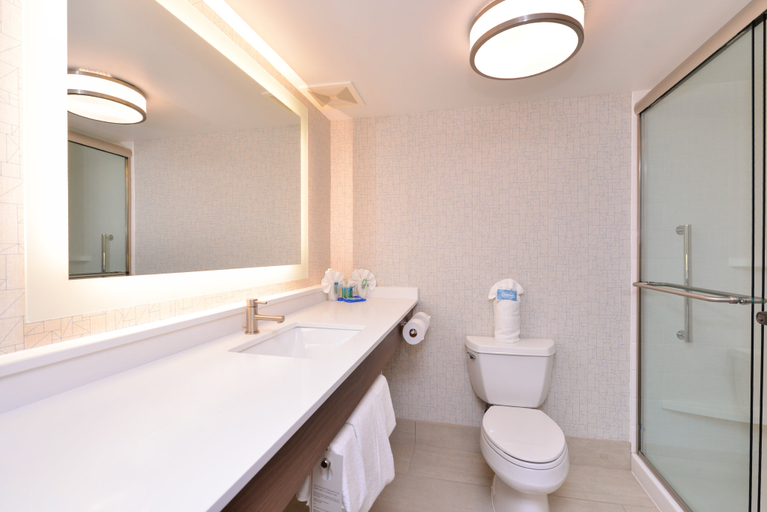Bathroom 5, Holiday Inn Express & Suites INDIANAPOLIS DTN-CONV CTR AREA by IHG, Indianapolis