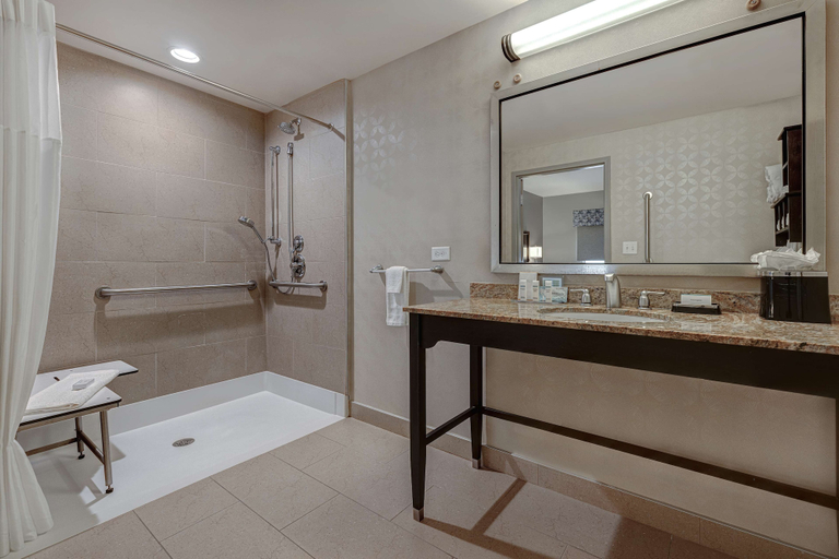 Bathroom 3, Hampton Inn & Suites Tampa Northwest/Oldsmar, Pinellas
