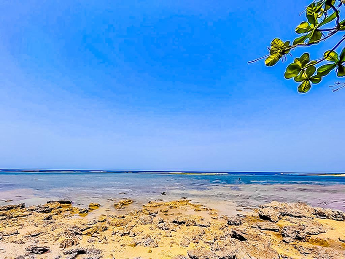 Others 5, Penginapan Teguh Ujung Genteng, Sukabumi