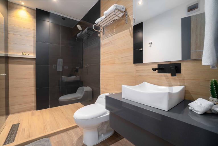 Bathroom 4, Hotel Plaza Del Lili, Santiago de Cali