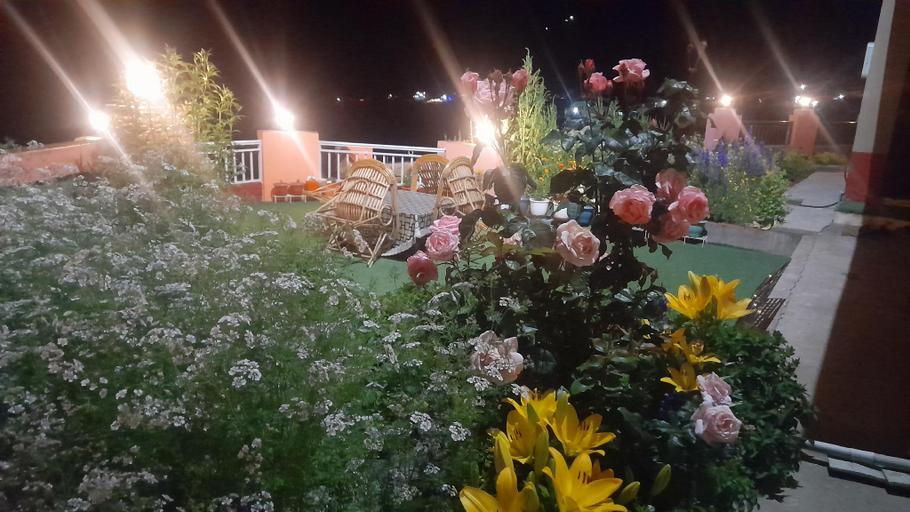 Others 5, HOTEL BLUE PINE, Lahul & Spiti