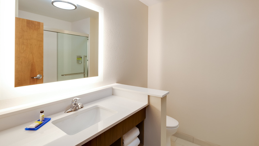 Bathroom 5, Holiday Inn Express & Suites LATTA by IHG, Dillon