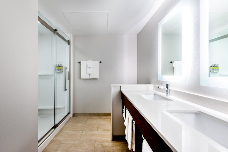 Bathroom 2, Holiday Inn Express & Suites SANTA ANA - ORANGE COUNTY by IHG, Orange