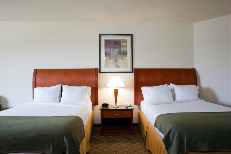 Bedroom 4, Holiday Inn Express & Suites FAIRFIELD-NORTH by IHG, Freestone