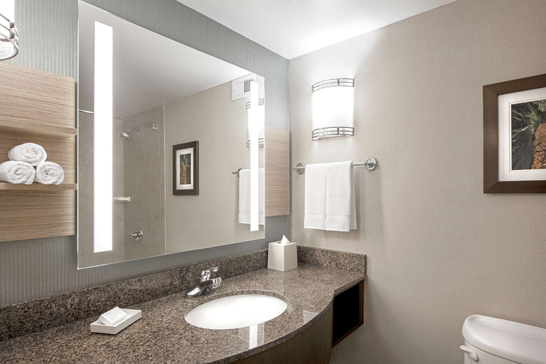 Bathroom 4, Hilton Garden Inn Cleveland Downtown, Cuyahoga