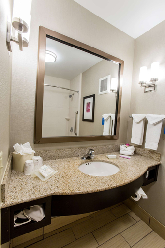 Bathroom 4, Hilton Garden Inn Columbus/Dublin, Franklin