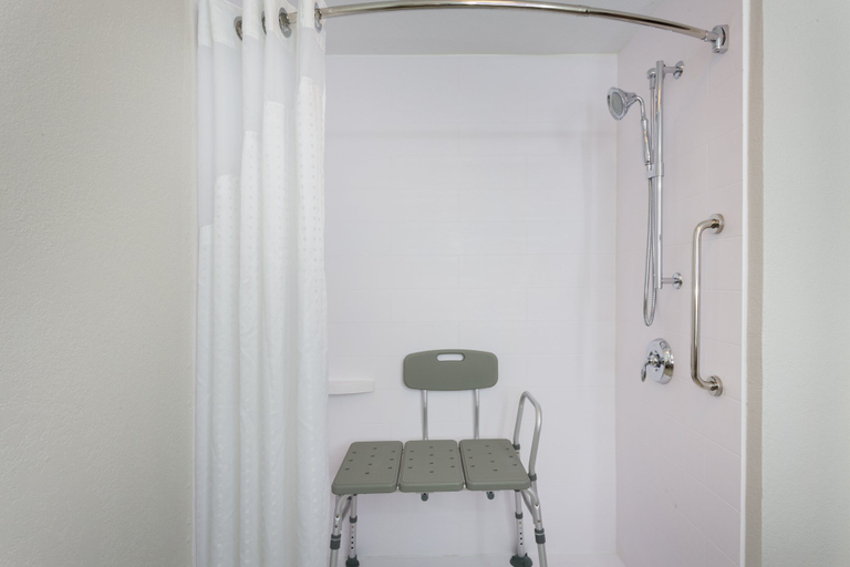 Bathroom 4, Holiday Inn Express & Suites FLEMING ISLAND by IHG, Clay