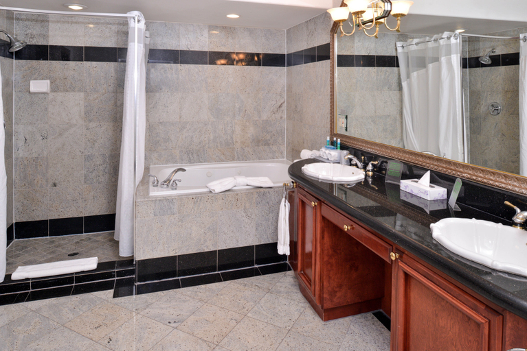 Bathroom 4, Holiday Inn Express & Suites EL CENTRO by IHG, Imperial