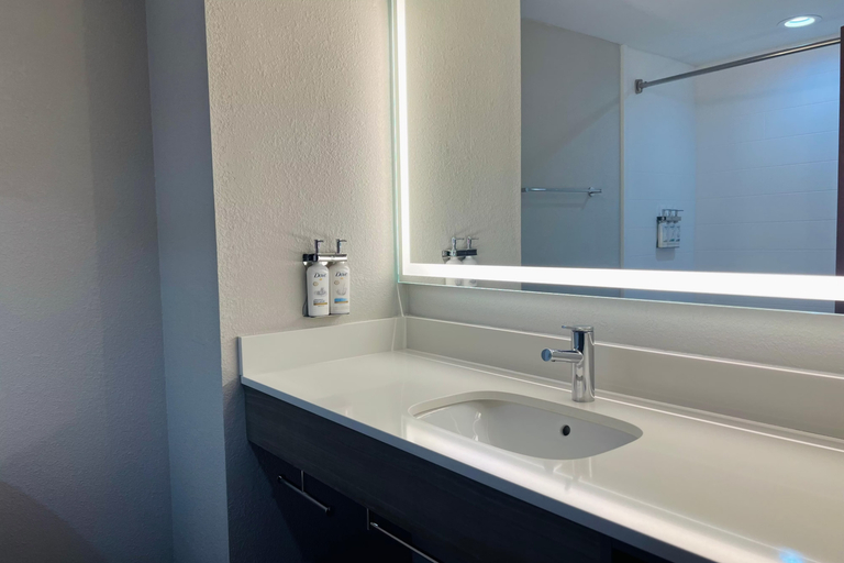 Bathroom 4, Holiday Inn Express & Suites SEBRING by IHG, Highlands