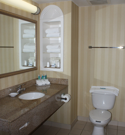 Bathroom 3, Holiday Inn Express & Suites SPRING HILL by IHG, Hernando
