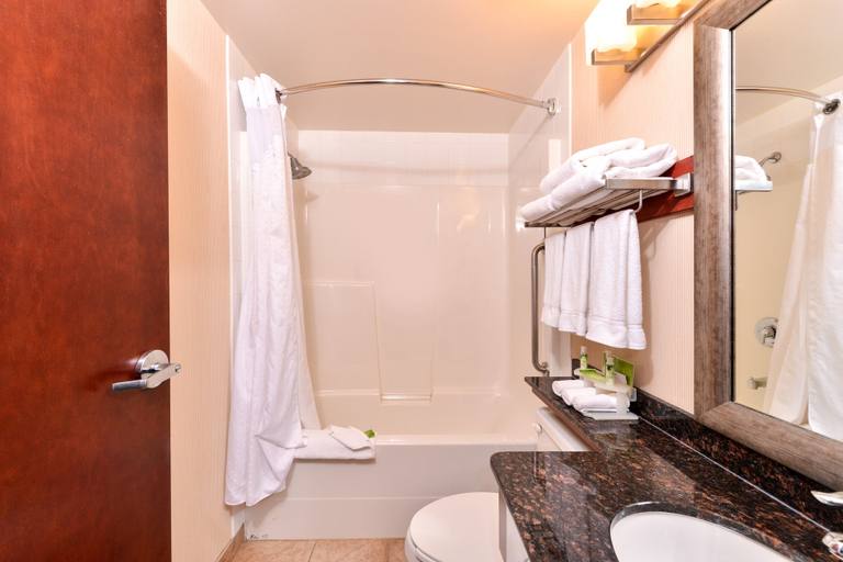 Bathroom 3, Holiday Inn Express & Suites EDMONTON NORTH by IHG, Division No. 11