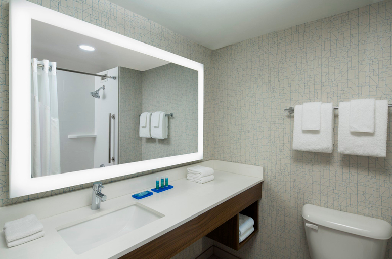 Bathroom 3, Holiday Inn Express NASHVILLE DOWNTOWN - BROADWAY by IHG, Davidson