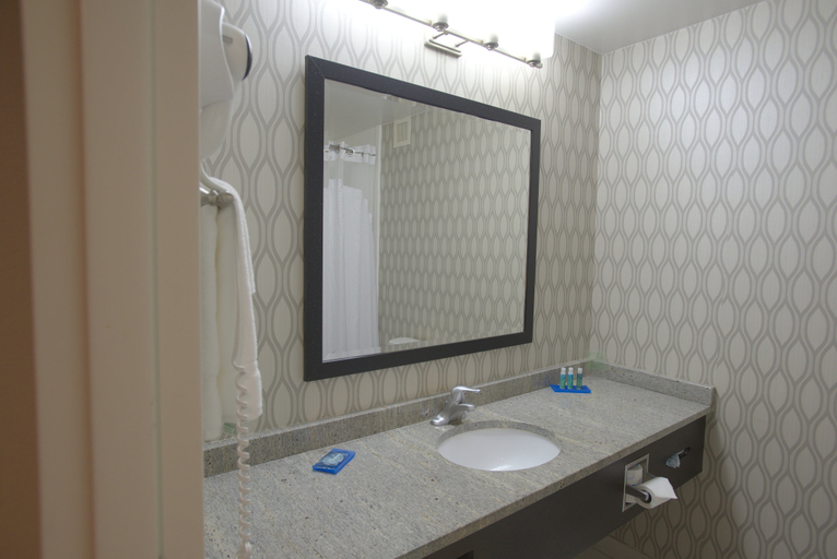 Bathroom 5, Holiday Inn Express ANDERSON-I-85 (EXIT 27-HWY 81) by IHG, Anderson