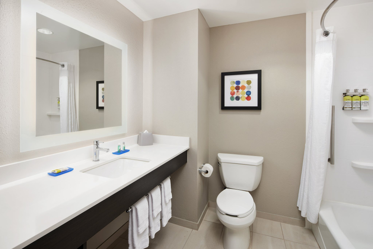 Bathroom 5, Holiday Inn Express & Suites SEYMOUR by IHG, Jackson