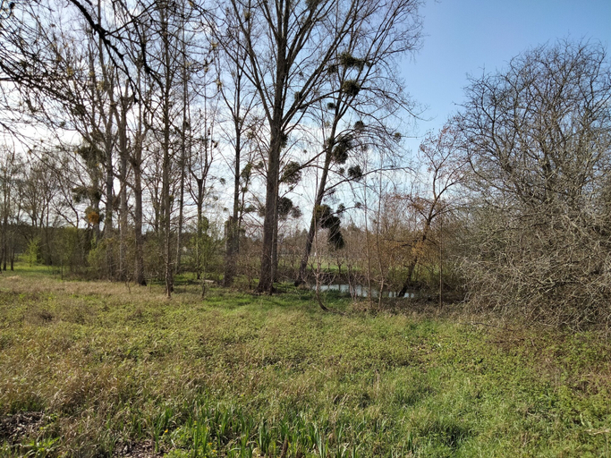 Others 5, Les Logis de la Seugne, Charente-Maritime