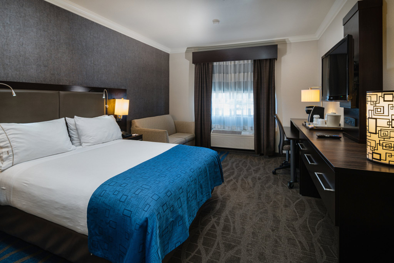 Bedroom 4, Holiday Inn Express & Suites SANTA CLARA by IHG, Santa Clara