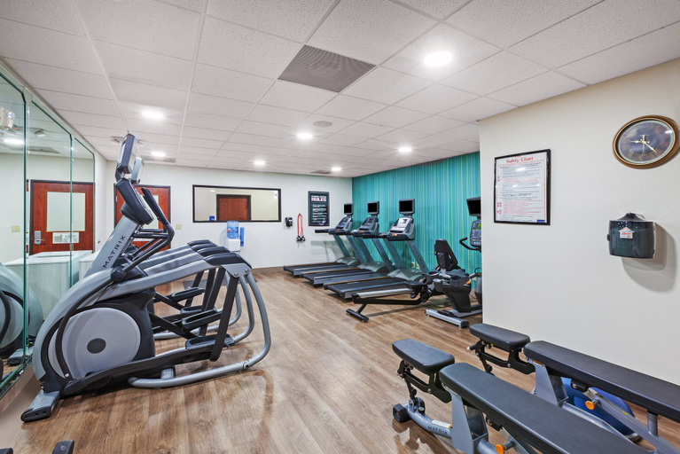 Others 2, Holiday Inn Express & Suites SEALY by IHG, Austin