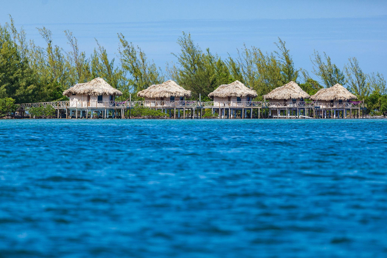 Bedroom 4, Thatch Caye, a Muy'Ono Resort