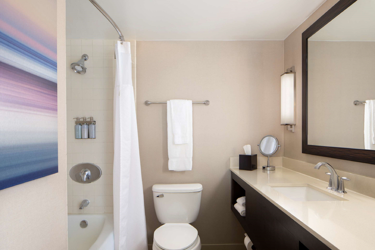 Bathroom 5, Sonesta San Jose - Milpitas, Santa Clara