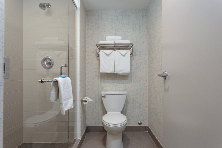 Bathroom 3, Holiday Inn Express & Suites BELLEVILLE by IHG, Hastings