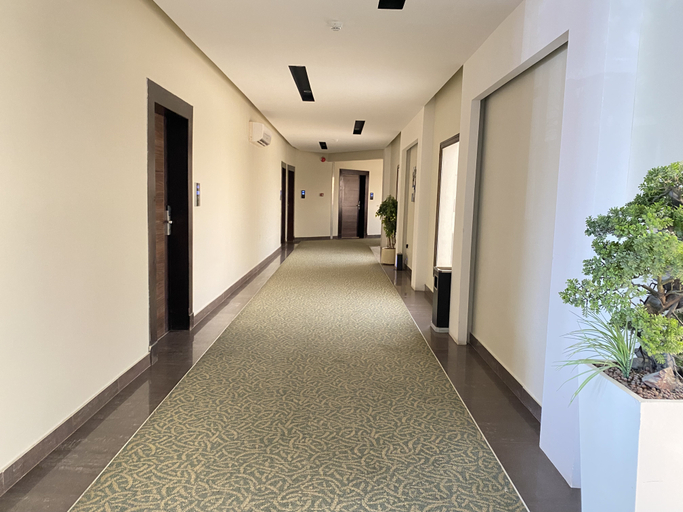 Public Area 2, Triple Tree, Al Ahsa