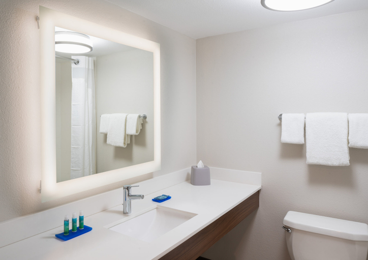 Bathroom 5, Holiday Inn Express BOCA RATON-WEST by IHG, Palm Beach