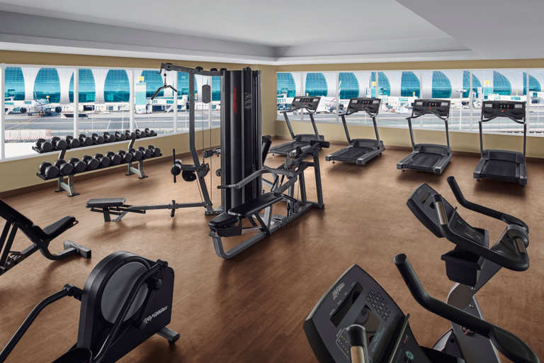 Sport & Beauty, Holiday Inn Express DUBAI AIRPORT by IHG, Dubai