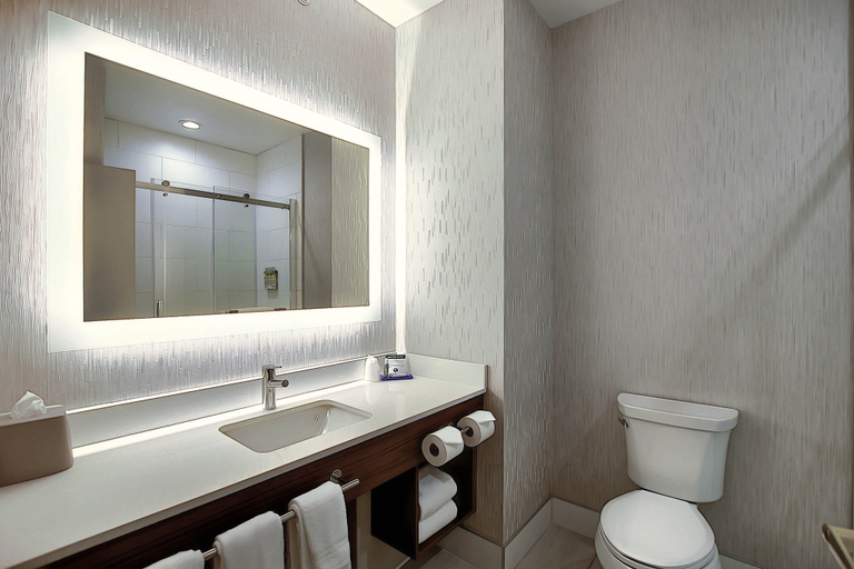 Bathroom 4, Holiday Inn Express & Suites AIRPORT-CALGARY by IHG, Division No. 6
