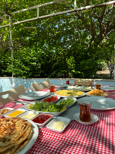 Public Area, Datça House Butik Otel, Datça