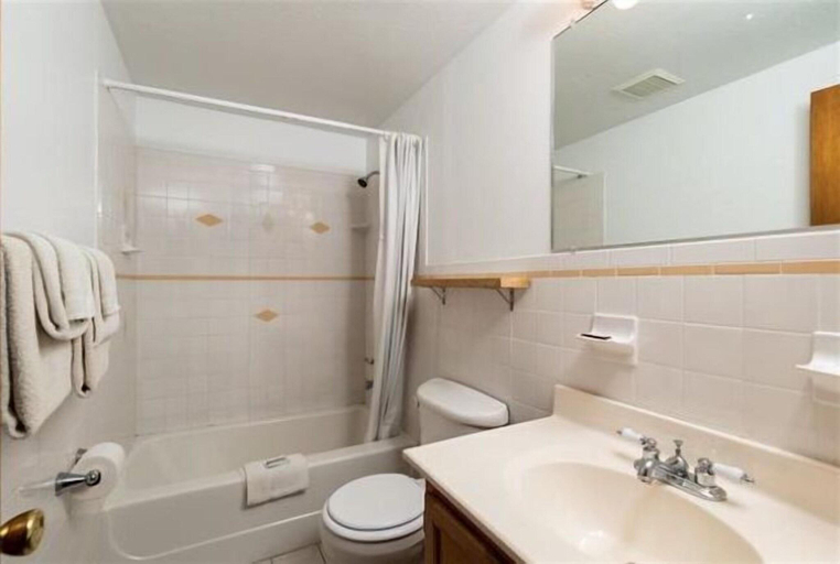 Bathroom 4, Covered Bridge Riverview Lodge, Carroll