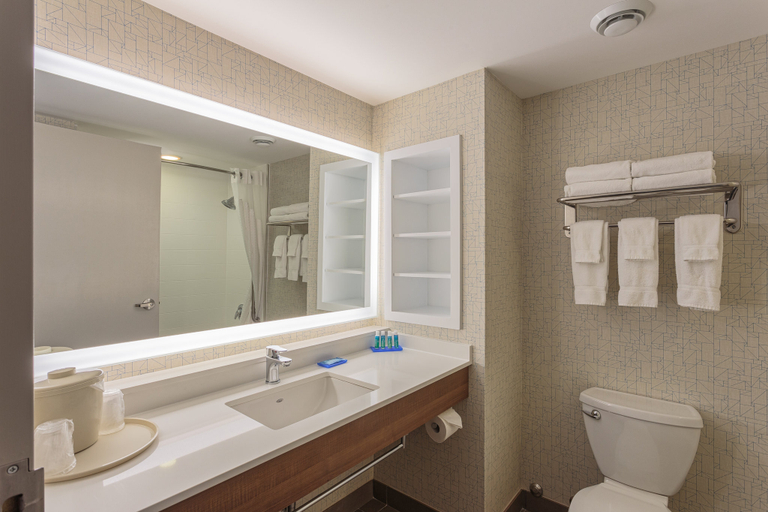 Bathroom 3, Holiday Inn Express & Suites BELLEVILLE by IHG, Hastings