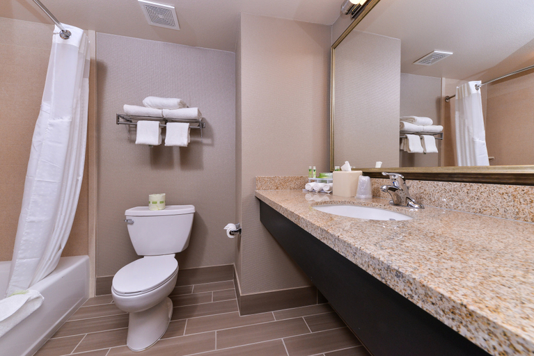 Bathroom 3, Holiday Inn Express & Suites INDIO - COACHELLA VALLEY by IHG, Riverside