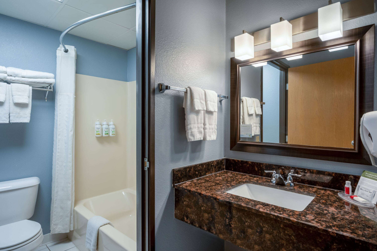 Bathroom 4, AmericInn by Wyndham Eau Claire, Eau Claire