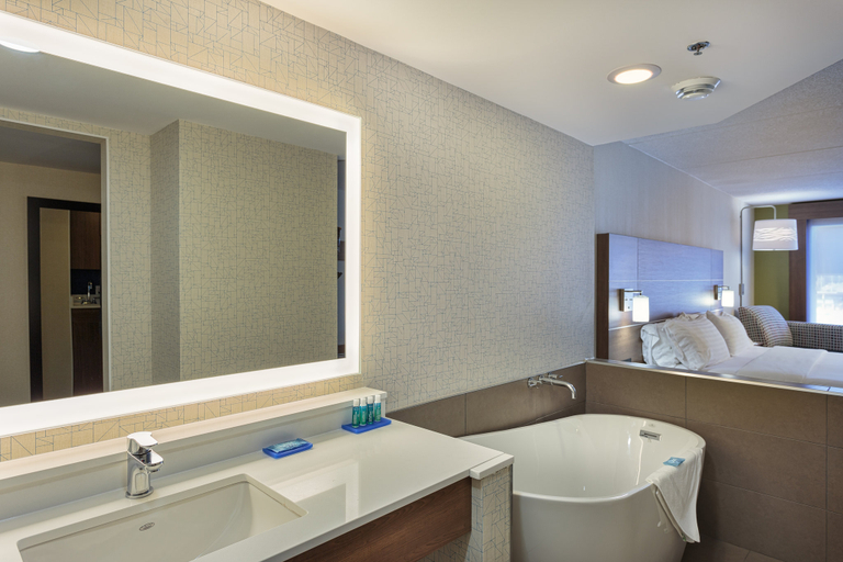 Bathroom 3, Holiday Inn Express & Suites BELLEVILLE by IHG, Hastings