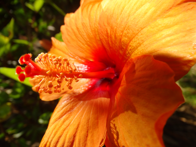 Others 5, Lokahi Lodge, Hawaii