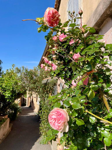 Others 3, Chez Fanny, Vaucluse