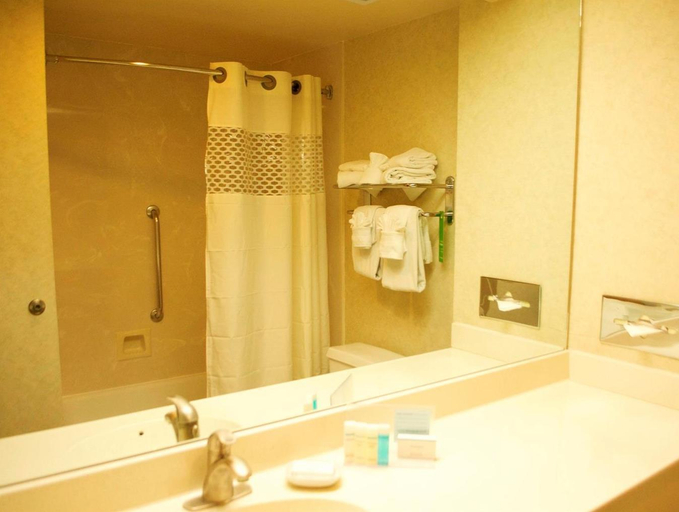Bathroom 3, Hampton Inn & Suites Flagstaff-West/NAU, Coconino