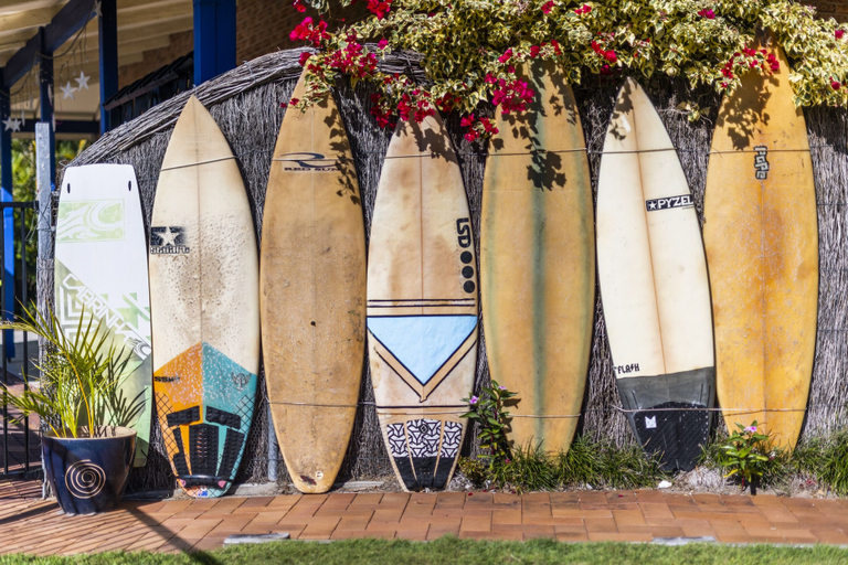 Others 5, The Carmel Yamba, Clarence Valley- Coast