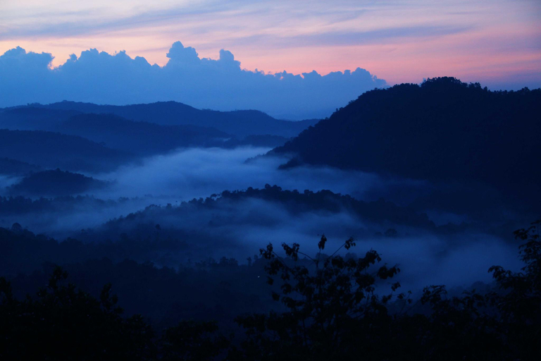 Others 4, Green Trees Resort, Idukki