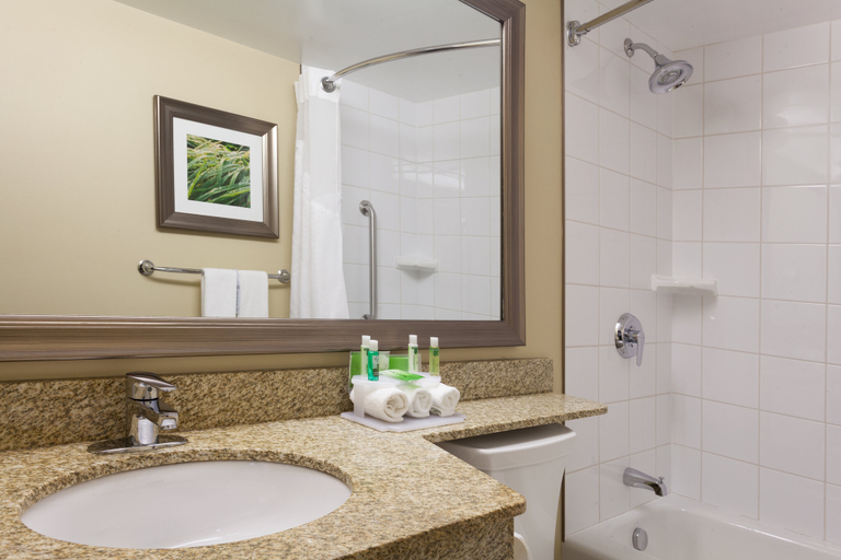 Bathroom 3, Holiday Inn Express & Suites FREDERICTON by IHG, York
