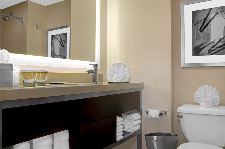 Bathroom 5, Hilton New York Times Square, New York